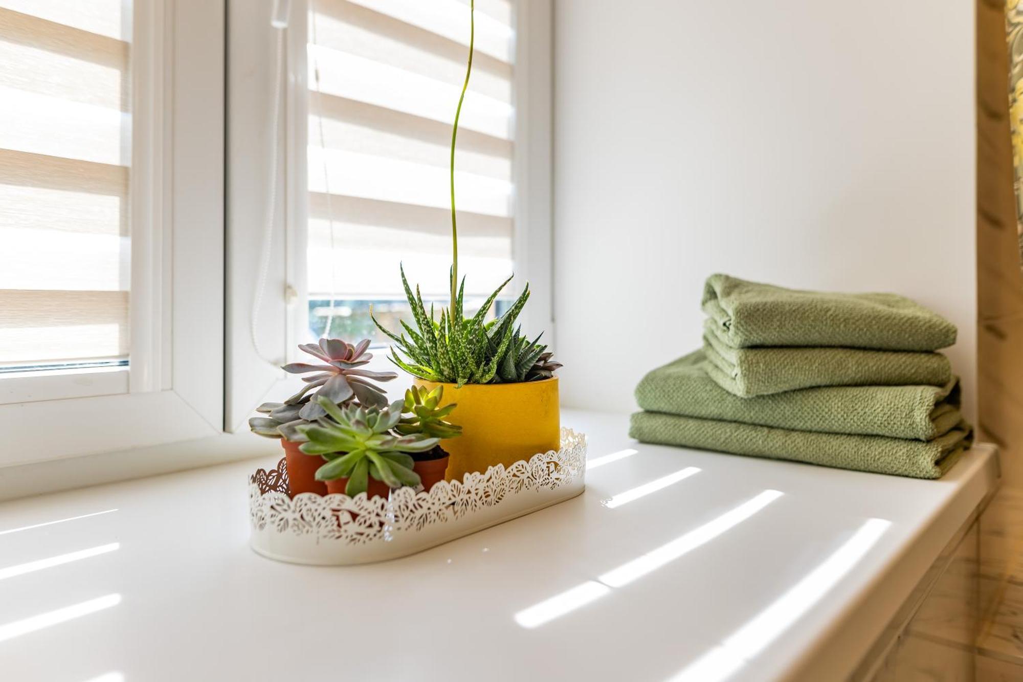 Raugyklos Apartamentai Wilno Zewnętrze zdjęcie